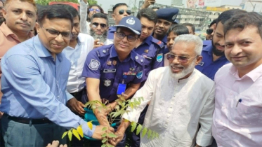 না’গঞ্জ সড়ক ও জনপথ বিভাগের বৃক্ষরোপণ কর্মসূচী উদ্বোধন