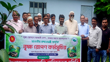 শুধু গাছ লাগালেই হবে না, এগুলোকে বাঁচিয়ে রাখার দায়িত্বও নিতে হবে : মামৃুন মাহমুদ
