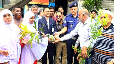 রূপগঞ্জে পরিবেশ উন্নয়নে অভিযান, গাছের চারা রোপন, বিতরণ ও  সভা