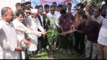 রূপগঞ্জ টেলিভিশন এন্ড মাল্টিমিডিয়া জার্নালিস্ট এসো’র বৃক্ষরোপন