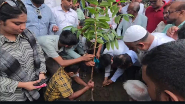 কায়েতপাড়ায় বৃক্ষরোপণ করলেন প্রশাসক সালাম ও প্রতিমন্ত্রী হাবিবুর
