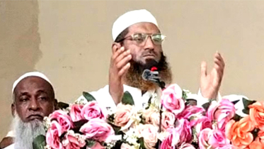 রয়েল রিসোর্টের ঘটনা ছিল আমাকে হত্যার নীল নকশা: মামুনুল হক