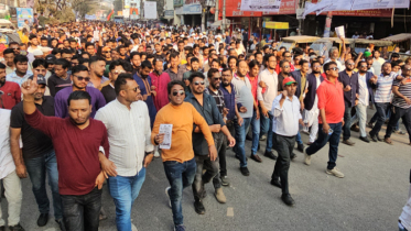 ধানের শীষের গণমিছিলে সজল-সাহেদের নেতৃত্বে মহানগর যুবদলের শোডাউন