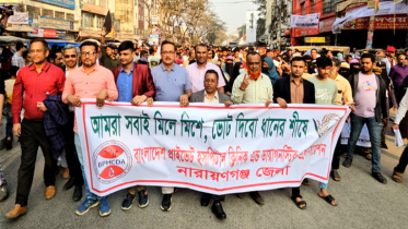 ধানের শীষের গণমিছিলে প্রাইভেট হসপিটাল ক্লিনিক এন্ড ডায়াগনস্টিক এসোসিয়েশন