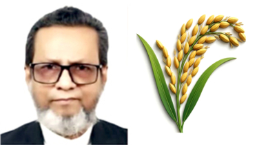 নারায়ণগঞ্জ-৫ আসনে বিএনপির প্রার্থী এড. কালামের জয়