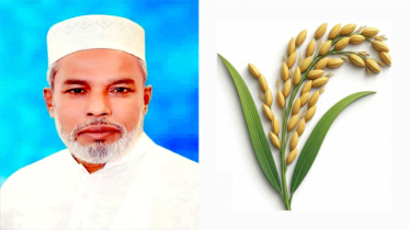 নারায়ণগঞ্জ-৩ আসনে বিএনপির আজহারুল ইসলাম মান্নান বিজয়ী