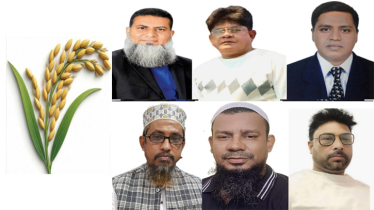 বন্দরে ধানের শীষের মান রাখলো ২০নং ওয়ার্ডের ৬ নেতা