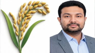 নারায়ণগঞ্জ-২ আসনে বিপুল ভোটের ব্যবধানে বিএনপির প্রার্থী আজাদ বিজয়ী