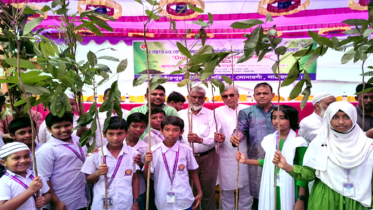 কাঁচপুরে ১৫টি শিক্ষা প্রতিষ্ঠানের ৪ হাজার শিক্ষার্থীদের মাঝে চারাগাছ বিতরণ
