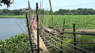 সোনারগাঁয়ে একটি সেতুর অভাবে ১০ গ্রামের কয়েক হাজার মানুষের চরম দুর্ভোগ