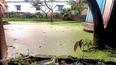 টানা বর্ষণে বন্দরে ৩ টি ওয়ার্ডে তীব্র জলাবদ্ধতা, স্থবির জনজীবন