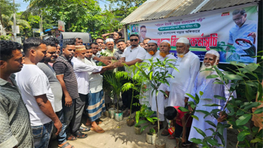 বন্দর উপজেলা বিএনপির বৃক্ষরোপণ ও গাছের চারা বিতরণ কর্মসূচি