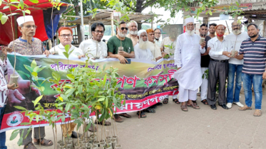 হাজীগঞ্জ ঘাটে আমরা নারায়ণগঞ্জবাসীর বৃক্ষরোপণ ও বিতরণ