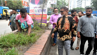 না’গঞ্জ শহরের সড়ক ডিভাইডার পরিষ্কার করে বৃক্ষরোপণ করবে নাসিক