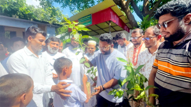 এমপি মান্নানের উদ্যোগে শিক্ষার্থীদের মাঝে ফলজ গাছের চারা বিতরণ