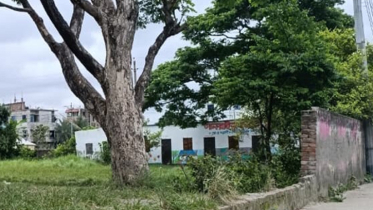 সিদ্ধিরগঞ্জে অরক্ষিত সানরাইজ মডেল স্কুল : উদ্বিগ্ন শিক্ষক-অভিভাবক