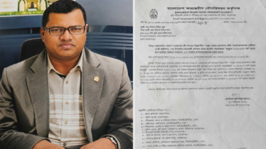 মাছুয়া বাজার ঘাটের ইজারা বাতিল করেছে বিআইডব্লিউটিএ