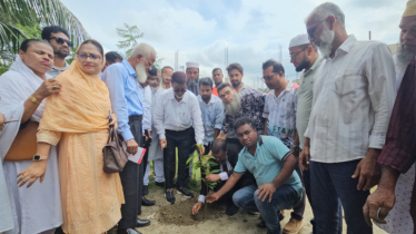 হাজীগঞ্জ মডেল কিন্ডারগার্টেন স্কুল মাঠে বৃক্ষরোপণ কর্মসূচি পালন