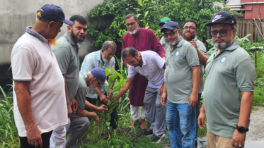 ফতুল্লা রোটারি ক্লাবের উদ্যোগে বৃক্ষরোপন