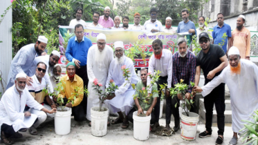 ডিআইটি মসজিদ প্রাঙ্গণে আমরা নারায়ণগঞ্জবাসীর বৃক্ষরোপণ