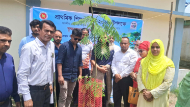 মদনগঞ্জ মডেল সরকারি প্রাথমিক বিদ্যালয়ে বৃক্ষরোপণ কর্মসূচির উদ্ধোধন