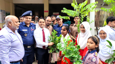 রূপগঞ্জে বিনা মূল্যে ফলদ, বনজ ও ঔষধি গাছের চারা বিতরণ