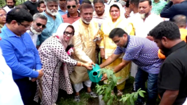সবুজের মাধ্যমে নারায়ণগঞ্জকে বাসযোগ্য নগরী হিসেবে গড়ে তুলতে চাই : সাখাওয়াত