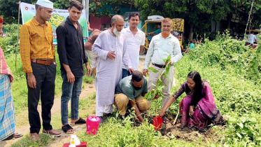 বন্দরে প্রধানমন্ত্রী ঘোষিত বৃক্ষরোপণ কর্মসূচির উদ্বোধন