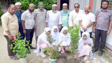পূর্ব জালকুড়ী আদর্শ উচ্চ বিদ্যালয়ে বৃক্ষরোপণ কর্মসূচি পালন