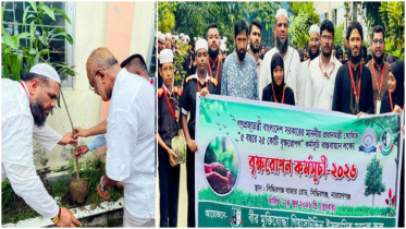 বীর মুক্তিযোদ্ধা গিয়াসউদ্দিন ইসলামিক মডেল স্কুলের বৃক্ষরোপণ