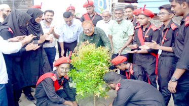 বৃক্ষ রোপণ পরিবেশ উন্নয়নে অনেক ভূমিকা রাখে : গিয়াসউদ্দিন