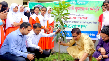 সবুজ বাংলাদেশ গড়তে বৃক্ষরোপণের কোনো বিকল্প নেই : ডিসি রায়হান