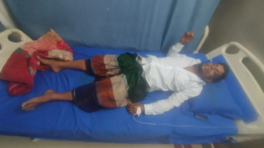 আড়াইহাজারে পাগলা মহিষের তাণ্ডবে আহত ১১