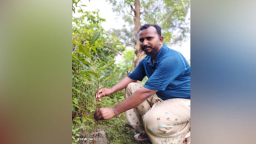 বিশ্ব পরিবেশ দিবসে পিরোজপুরে বৃক্ষরোপণ কর্মসূচি