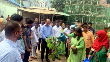 নারায়ণগঞ্জ সদরে ইউনিয়ন-ওয়ার্ড পর্যায়ে বৃক্ষরোপণ কর্মসূচির উদ্বোধন