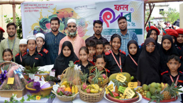 দেলপাড়া বীর মুক্তিযোদ্ধা গিয়াসউদ্দিন ইসলামিক মডেল স্কুলে দেশীয় ফল উৎসব