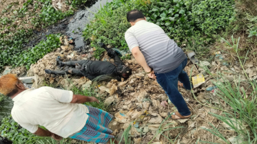 সিদ্ধিরগঞ্জে খাল থেকে অজ্ঞাত লাশ উদ্ধার