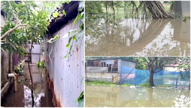 রূপগঞ্জে সামান্য বৃষ্টিতেই জলাবদ্ধতা, ভোগান্তি : ৪ দশকেও পুনঃখনন হয়নি খাল