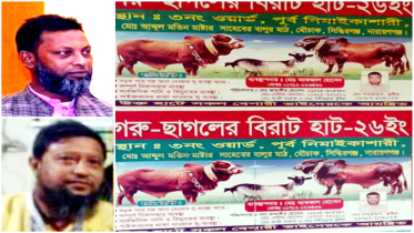 নাসিক ৩ নং ওয়ার্ডে গুরুর হাট নিয়ে সংঘর্ষের আশঙ্কা : বেপরোয়া বিএনপি নেতা আফজাল