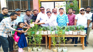 যুবদলের ৪৮তম প্রতিষ্ঠা বার্ষিকী উপলক্ষে রবিনের উদ্যোগে বৃক্ষরোপন
