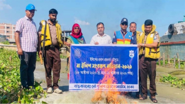 মেঘনা নদীতে বিপুল পরিমাণ অবৈধ কারেন্ট জাল জব্দ, পুড়িয়ে ধ্বংস