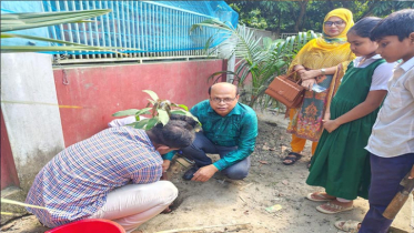 সোনারগাঁয়ে বিদ্যালয় প্রাঙ্গণে ফলজ গাছের চারা রোপণ