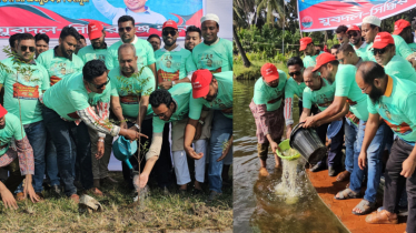 প্রতিষ্ঠাবার্ষিকীতে সিদ্ধিরগঞ্জ যুবদলের মাছের পোনা অবমুক্তকরণ ও বৃক্ষরোপণ