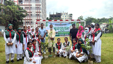 সরকারি তোলারাম কলেজে বৃক্ষরোপণ কর্মসূচি অনুষ্ঠিত