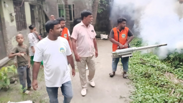 এমপি মান্নানের নির্দেশে নাসিক ৪ নং ওয়ার্ডে মশক নিধন ও ডেঙ্গু প্রতিরোধ কর্মসূচি  