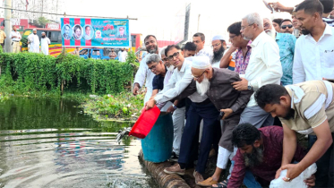 সিদ্ধিরগঞ্জ থানা বিএনপির উদ্যোগে মাছের পোনা অবমুক্ত এবং বৃক্ষ রোপন