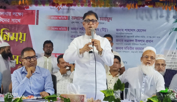 বিএনপি একটি ব্যবসাবান্ধব সরকার : অধ্যাপক মামুন মাহমুদ