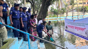 সদর উপজেলা মৎস্য দপ্তরের উদ্যোগে বিভিন্ন পুকুরে পোনামাছ অবমুক্ত