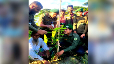 বন্দরে বাংলাদেশ আনসার ও গ্রাম প্রতিরক্ষা বাহিনীর বৃক্ষ রোপন